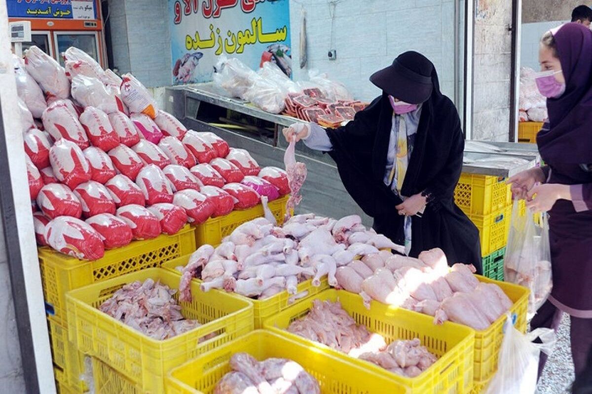 قیمت مصوب جدید گوشت مرغ؛ عرضه افزایش می‌یابد