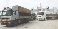  قربانیان ممنوعیت‌های وارداتی