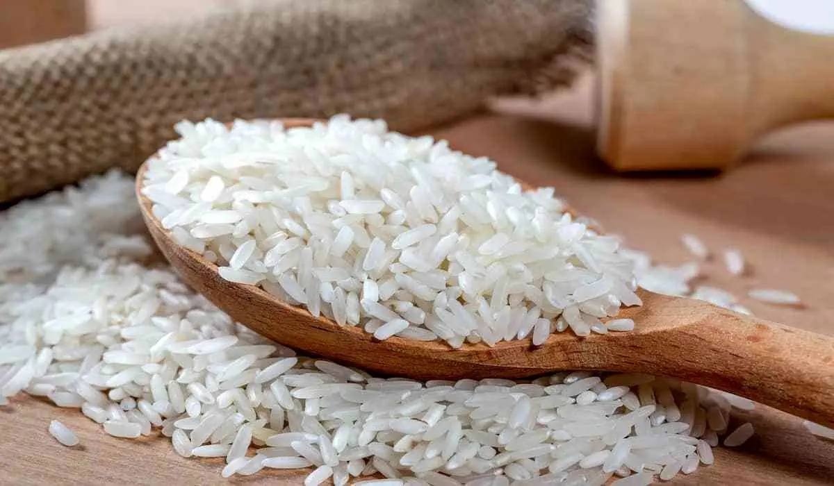 واردات قطره چکانی برنج خارجی؛ منتظر بحران باشیم یا آرامش؟