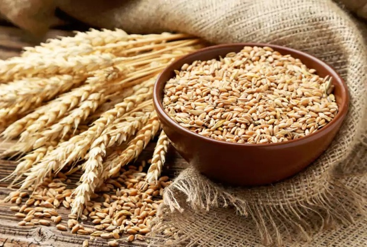 گندمکاران بخوانند: اعلام قیمت خرید تضمینی گندم برای سال زراعی جدید گندمکاران بخوانند: اعلام قیمت خرید تضمینی گندم برای سال زراعی جدید