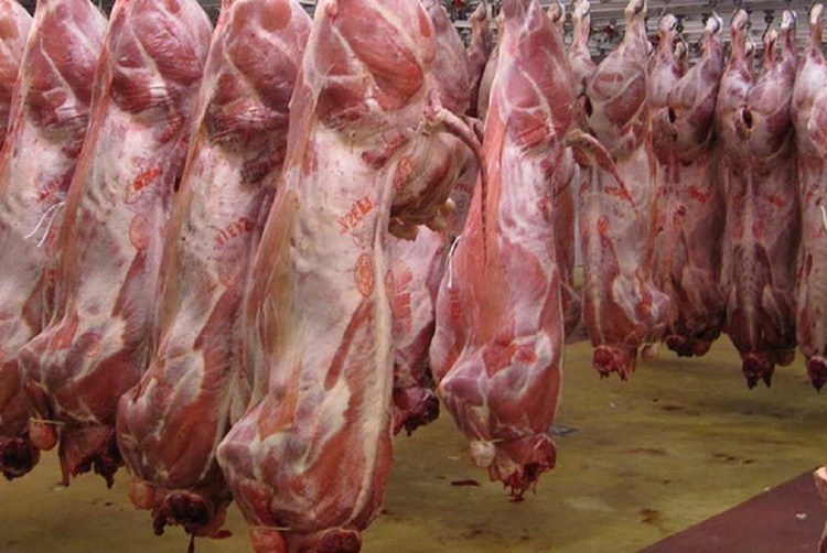 هر کیلو گوشت گوسفندی ۸۰۷ هزار تومان؛ آیا کاهش قیمت در راه است؟ هر کیلو گوشت گوسفندی ۸۰۷ هزار تومان؛ آیا کاهش قیمت در راه است؟