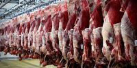 نوسانات ارز و تأثیر آن بر بازار گوشت؛ چالش‌های واردکنندگان محصولات پروتئینی