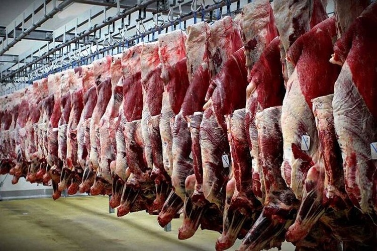 نوسانات ارز و تأثیر آن بر بازار گوشت؛ چالش‌های واردکنندگان محصولات پروتئینی