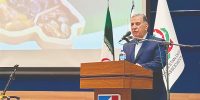 لزوم صادرات خرما براساس روش‌های جدید بازاریابی