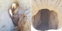 ماجرای فوت قناتی که سرو ۴هزار ساله ابرکوه را آبیاری می‌کرد