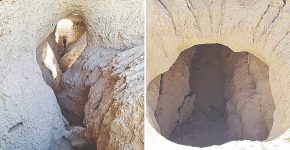 ماجرای فوت قناتی که سرو ۴هزار ساله ابرکوه را آبیاری می‌کرد