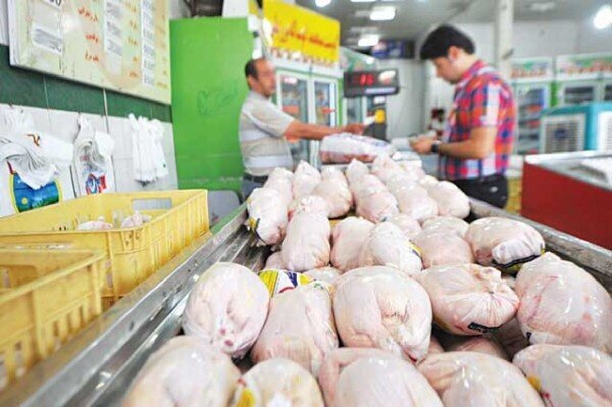 عرضه مرغ گرم در میادین تهران با قیمت ۱۲۹,۵۰۰ تومان؛ ارزان‌تر از نرخ مصوب