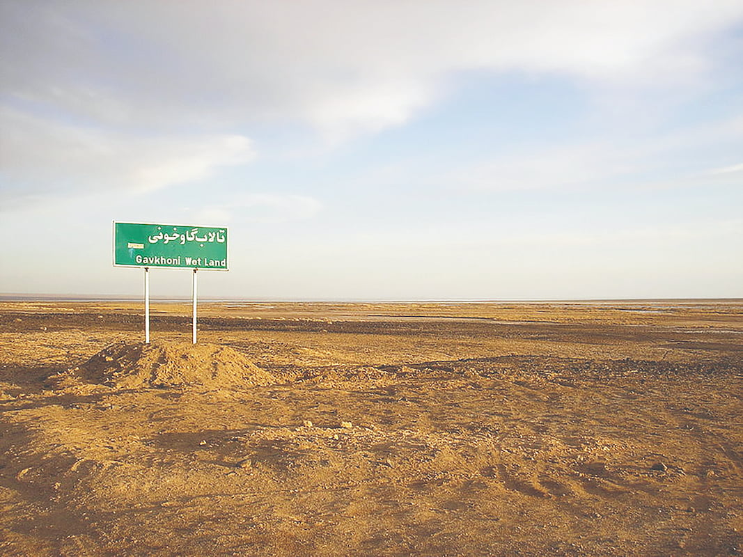 مرگ آرام رویای کویر مرگ آرام رویای کویر