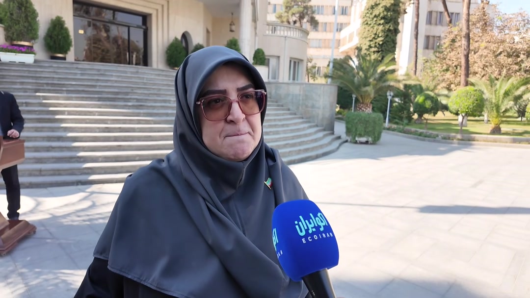 مهاجرانی تایید کرد: وزارت خارجه پیام از سرگیری مذاکرات را دریافت کرد مهاجرانی تایید کرد: وزارت خارجه پیام از سرگیری مذاکرات را دریافت کرد