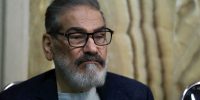 همشهری: موج بازنشر فیلم عروسی دختر شمخانی از اکانت‌های صهیونیستی آغاز شد