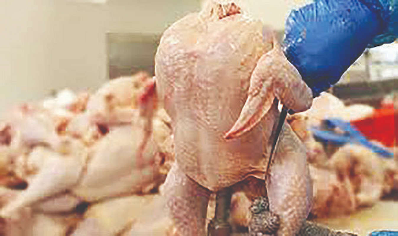 واکنش مجلس به وضعیت نهاده‌های دامی