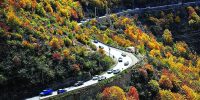 محدودیت‌های ترافیکی در محورهای مازندران