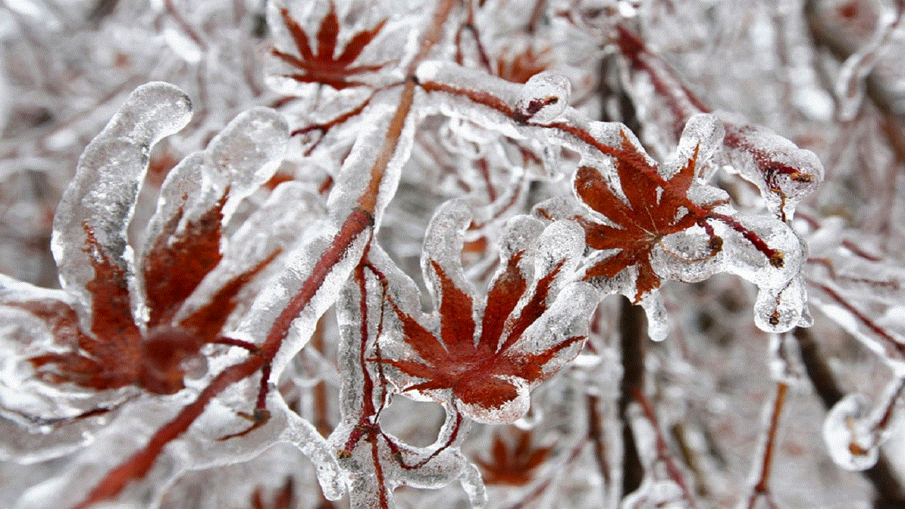 یخبندان پاییزی از امشب؛ هشدار برای ساکنان مناطق سردسیر