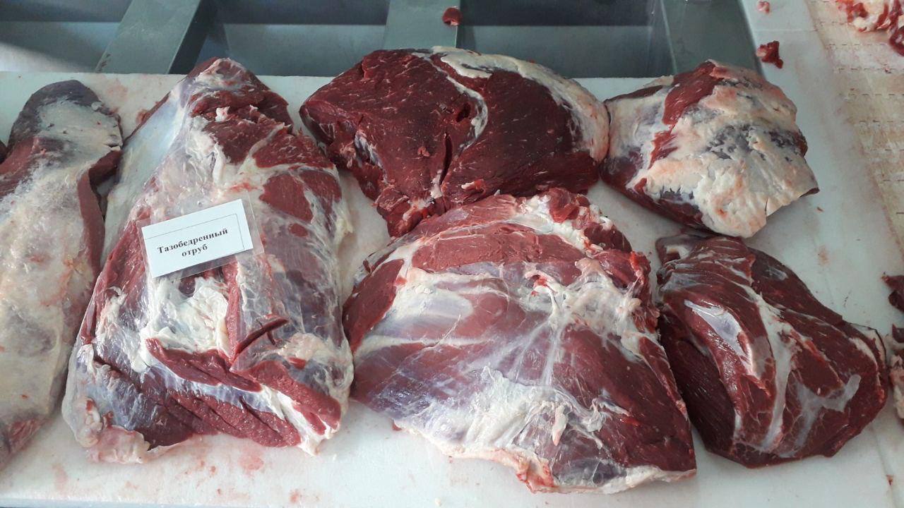 گوشت تنظیم بازاری با قیمت جدید؛ وزیر جهاد کشاورزی وعده اصلاح قیمت داد گوشت تنظیم بازاری با قیمت جدید؛ وزیر جهاد کشاورزی وعده اصلاح قیمت داد