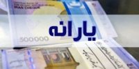 یارانه بگیران بخوانند: چگونه از قطع یارانه جلوگیری کنیم؟ یارانه بگیران بخوانند: چگونه از قطع یارانه جلوگیری کنیم؟