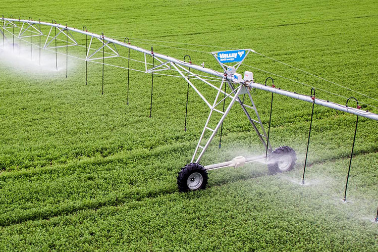 وزارت جهاد کشاورزی: مصرف آب کشاورزی ۴۵ میلیارد مترمکعب است، نه ۹۰ درصد!