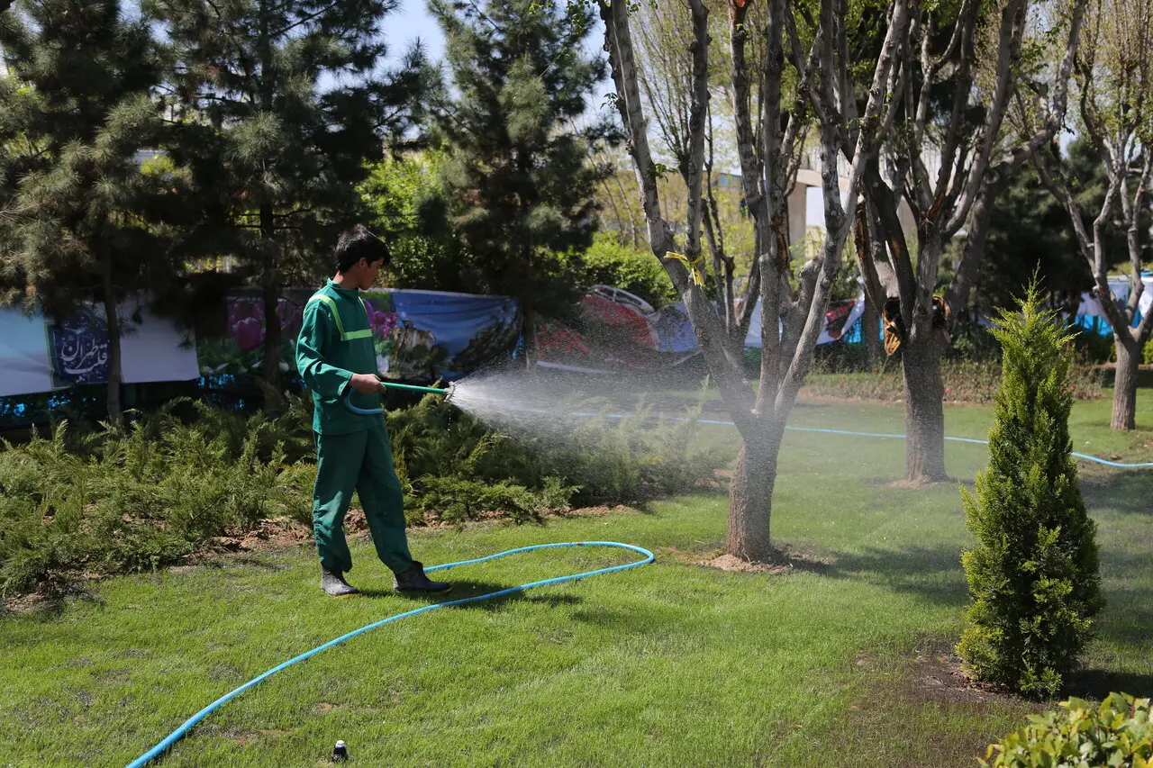 چالش‌های آبیاری فضای سبز شهری: آیا شهروندان حس کم‌آبی را درک می‌کنند؟