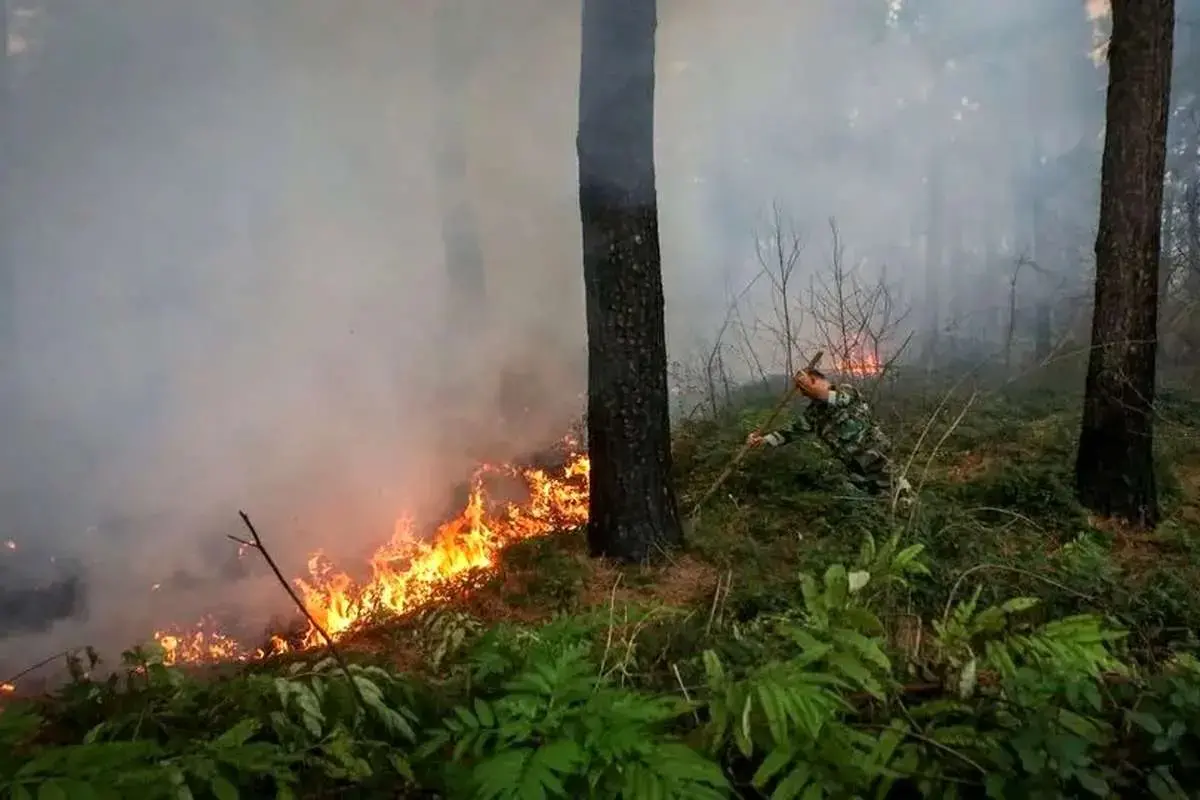 حضور نیروهای ترکیه‌ای در جنگل‌های الیت چالوس برای مقابله با آتش‌سوزی