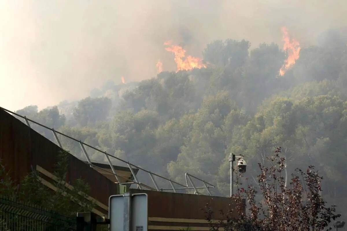 آتش‌سوزی هیرکانی؛ جنگل‌های ۴۰ میلیون ساله در خطر و نیاز به تجهیزات پیشرفته