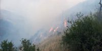تلاش برای کنترل آتش‌سوزی جنگل ابر در شرق استان سمنان ادامه دارد