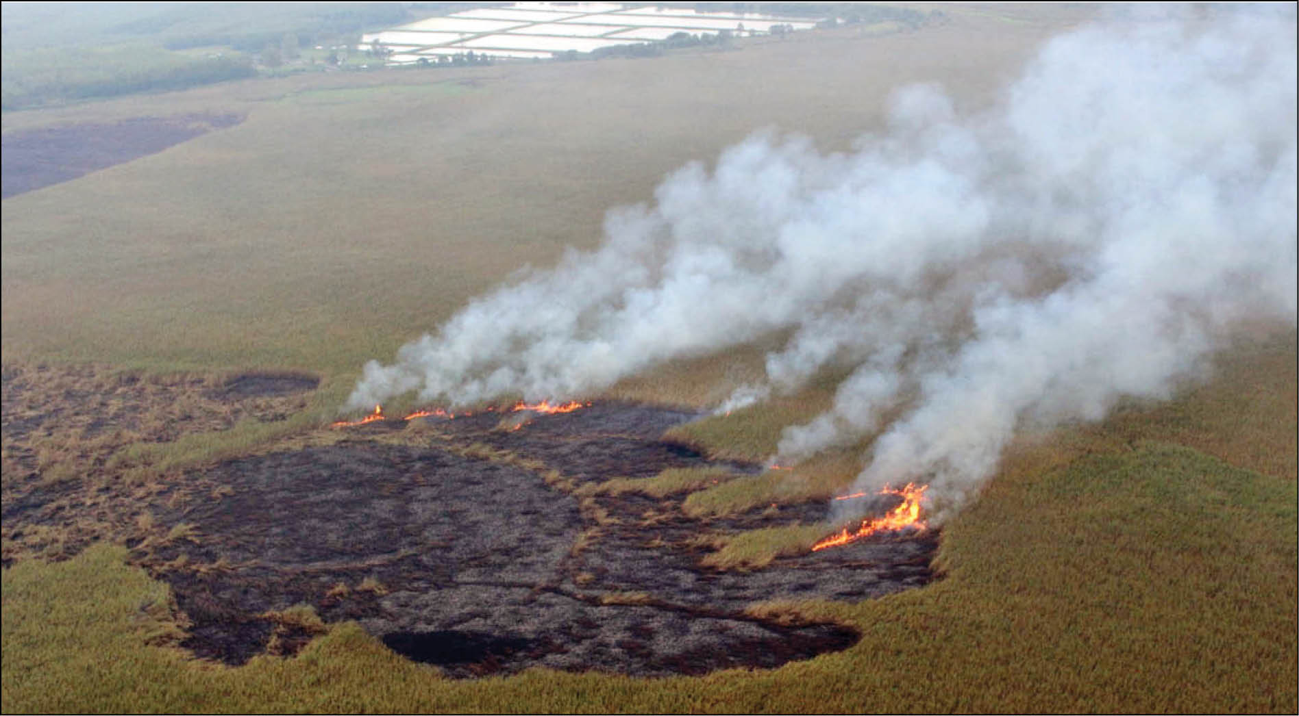 دود هورالعظیم مدارس و ادارات خوزستان را به تأخیر انداخت