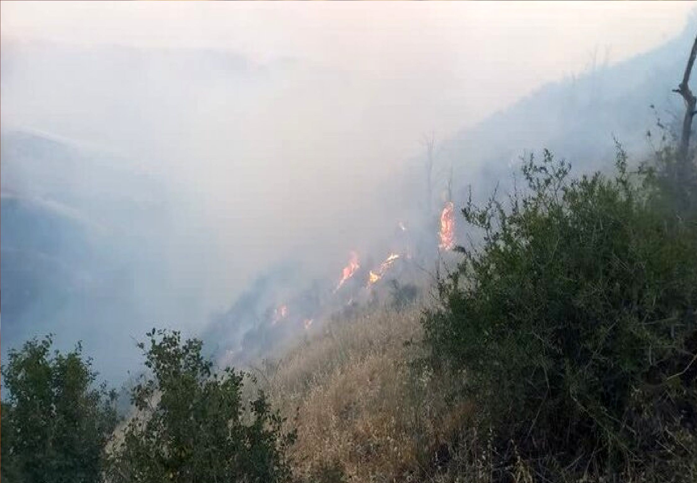 تلاش برای کنترل آتش‌سوزی جنگل ابر در شرق استان سمنان ادامه دارد