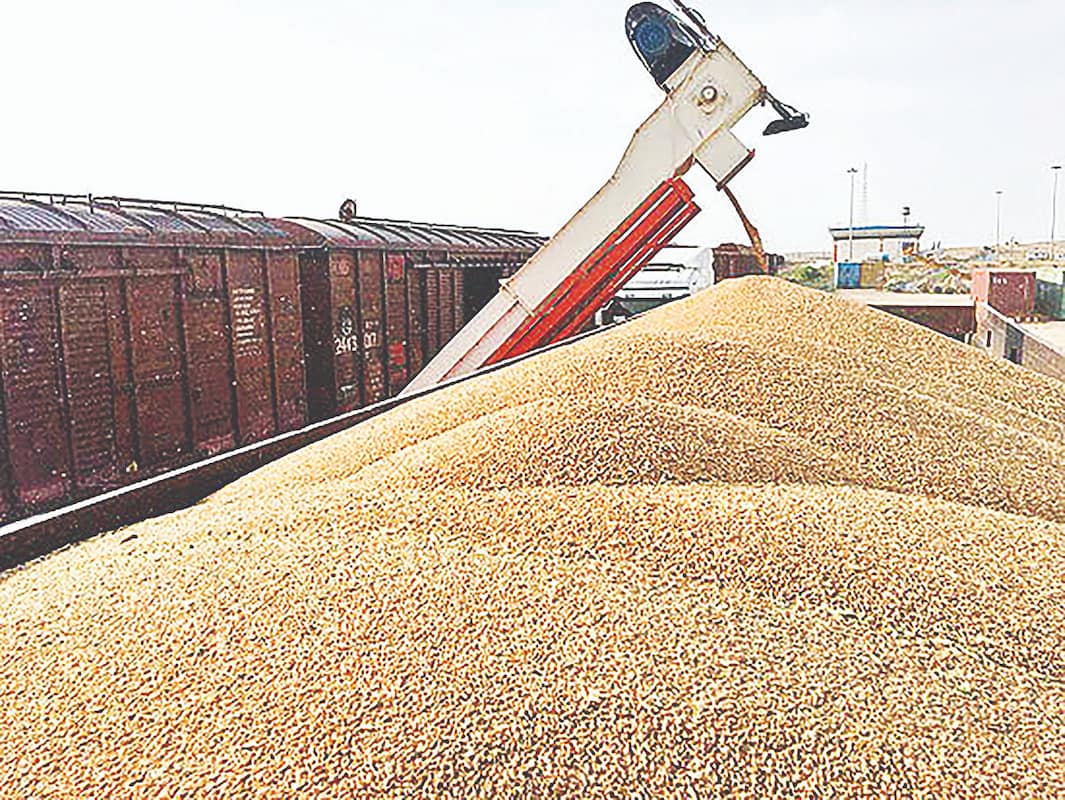 ایران امسال ۵‌میلیون‌تن گندم وارد می‌کند