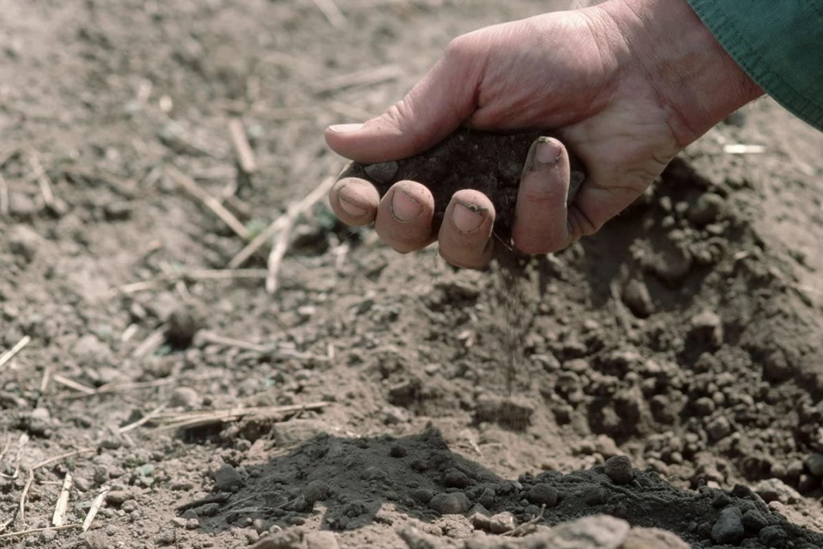 خشکسالی ادامه دارد؛ کشاورزان ۲ تا ۳ هفته دیگر صبر کنند