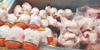 بازار مرغ و تخم‌مرغ تحت‌تاثیر کمبود نهاده‌ها