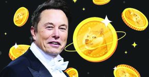 بازار میم‌کوین‌ها در تب‌وتاب توئیت جدید ماسک