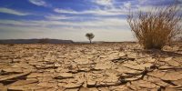 پاییز ۱۴۰۴ خشک‌تر از همیشه؛ ۲۰ استان کشور بدون بارش