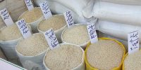 از خطای آمار تا کمبود ارز؛ دلایل واقعی افزایش قیمت برنج ایرانی