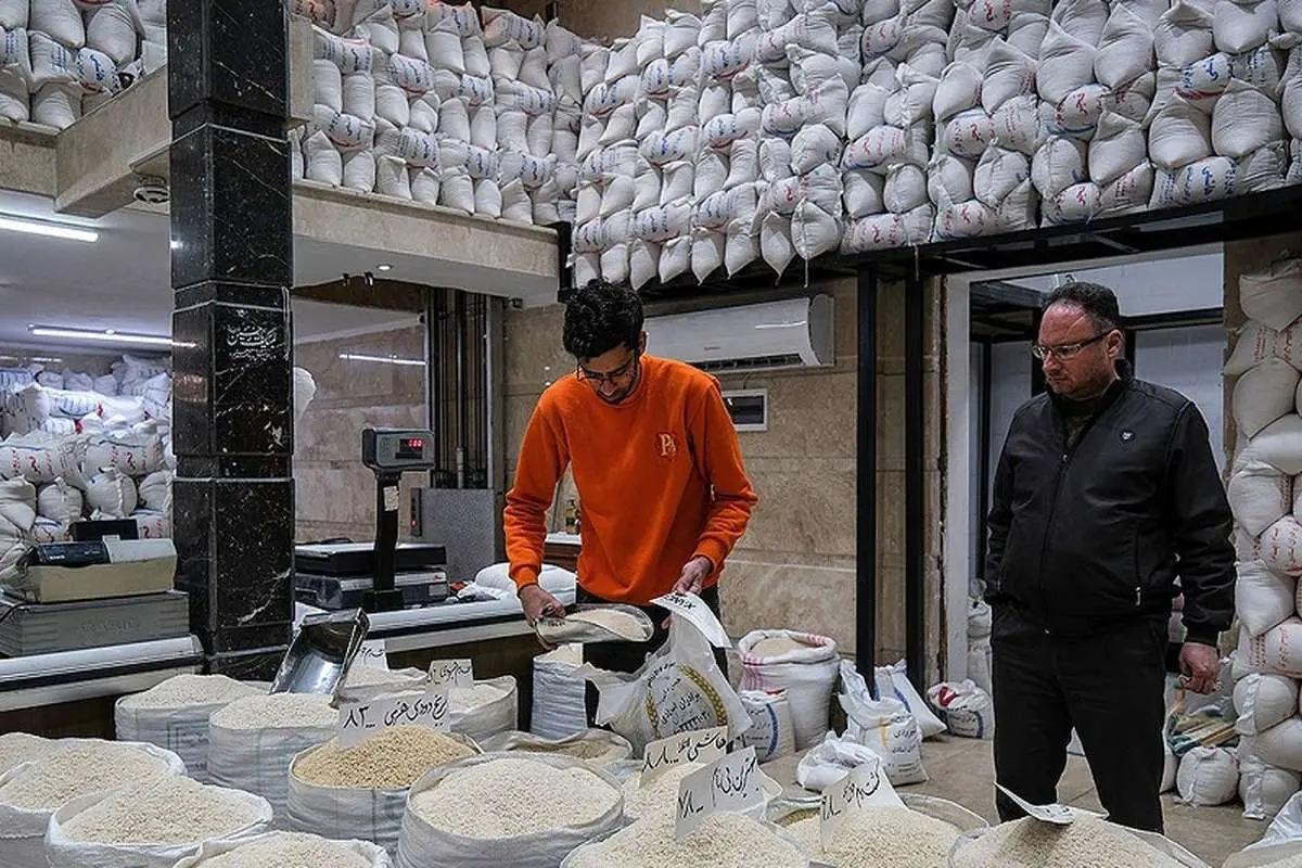 ۷۴ هزار تن برنج وارداتی رسید؛ فروش با قیمت مصوب در این مراکز