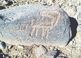 تاریخ زیر چرخ توسعه