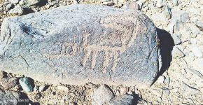 تاریخ زیر چرخ توسعه