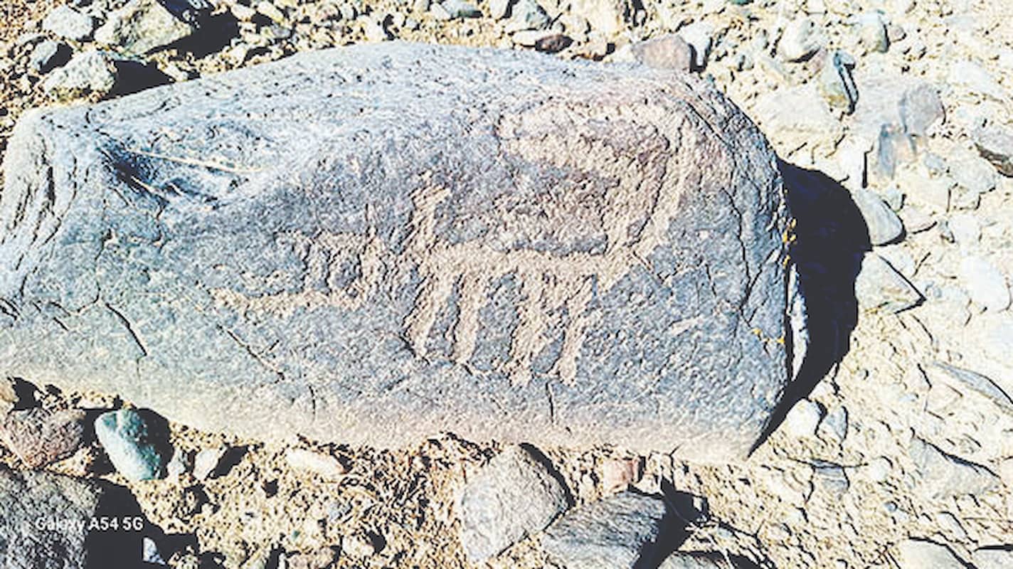 تاریخ زیر چرخ توسعه