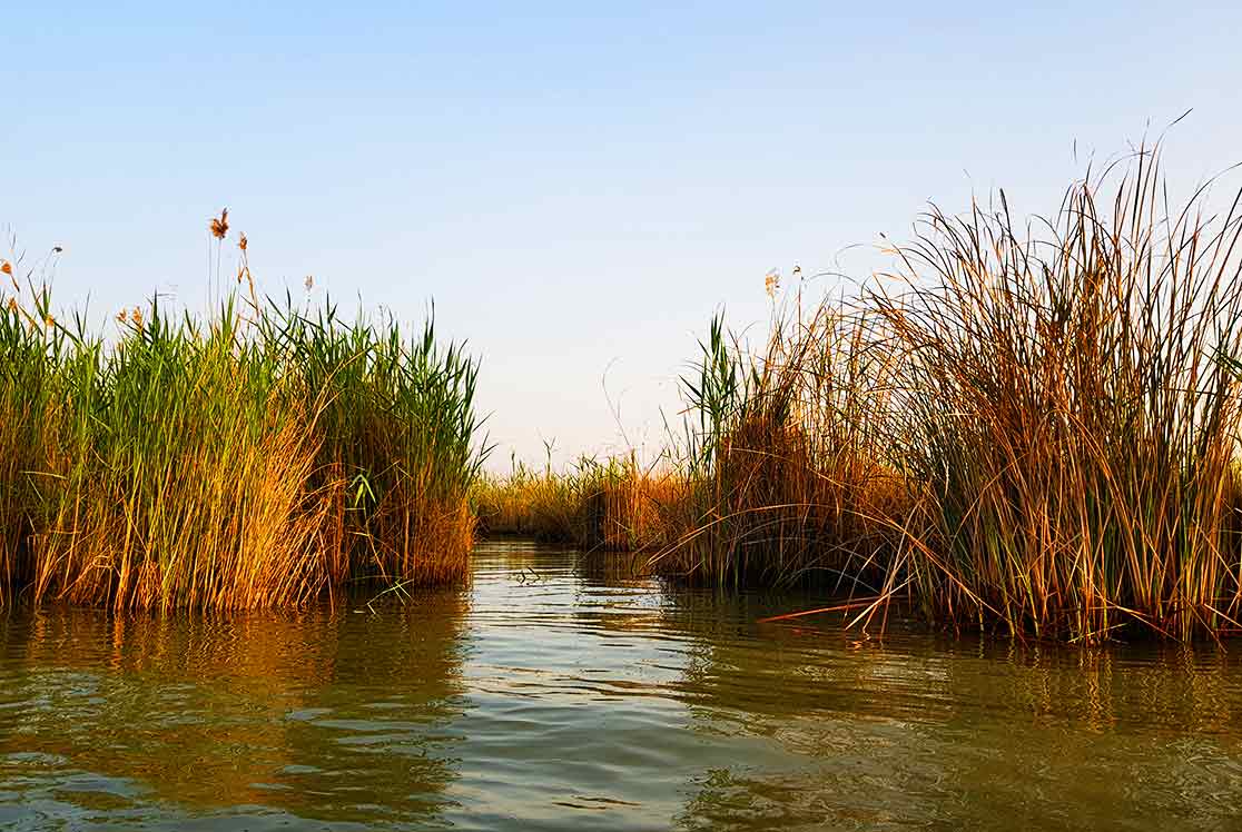 تالاب شادگان در بدترین شرایط آبی؛ تنها امید به بارش آذرماه