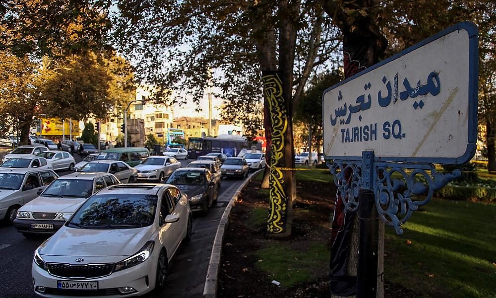 افزایش فضای سبز در تجریش؛ شهرداری منطقه یک از کاشت درختان بن‌بالا خبر داد