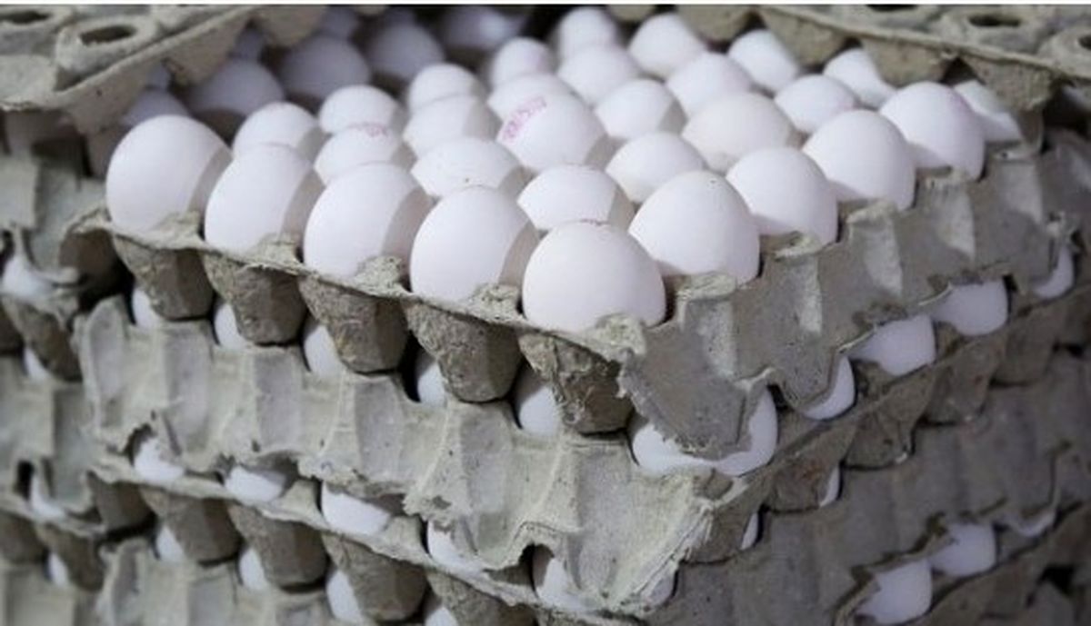 تخم‌مرغ همچنان گران؛ نگرانی خانواده‌ها از افزایش هزینه سبد غذایی