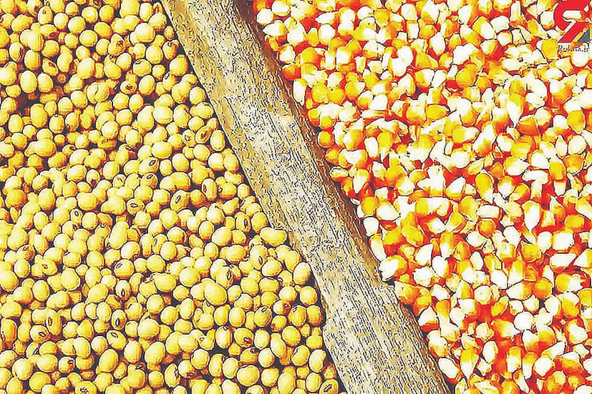 تداوم خالی‌فروشی در سامانه بازارگاه