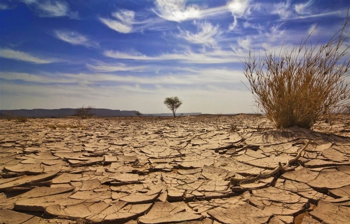 افزایش دمای تهران: تبخیر ۲۰ درصدی و بحران‌های زیست‌محیطی