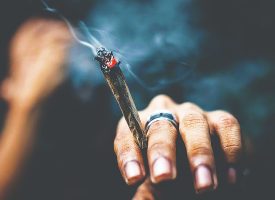 تفریحی با بوی مرگ!