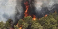 آتش‌سوزی شدید در جنگل‌های جاده چالوس؛ بدون کمک هوایی شرایط بدتر می‌شود