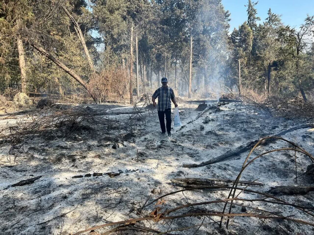 وقتی هیرکانی می‌سوخت؛ قصوری که سال‌ها پیش از شعله‌ها آغاز شده بود