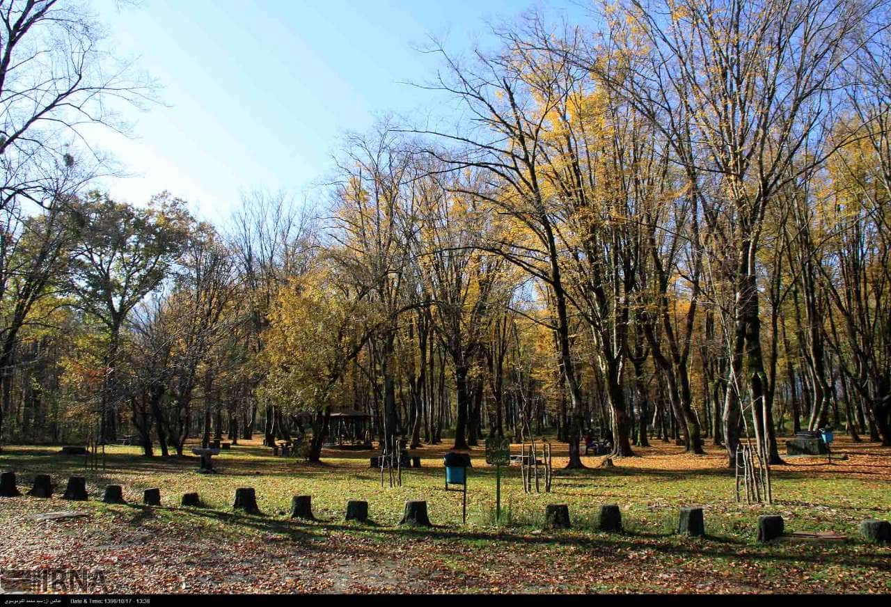 فرماندار نوشهر دستور بستن تمام مسیرهای ورودی به جنگل‌ها را صادر کرد
