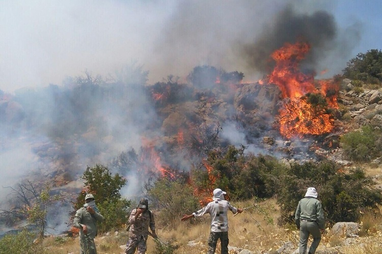 نبرد با آتش در ارتفاعات «الیت»؛ گرفتاری جنگل هیرکانی میان شعله‌ها و برف