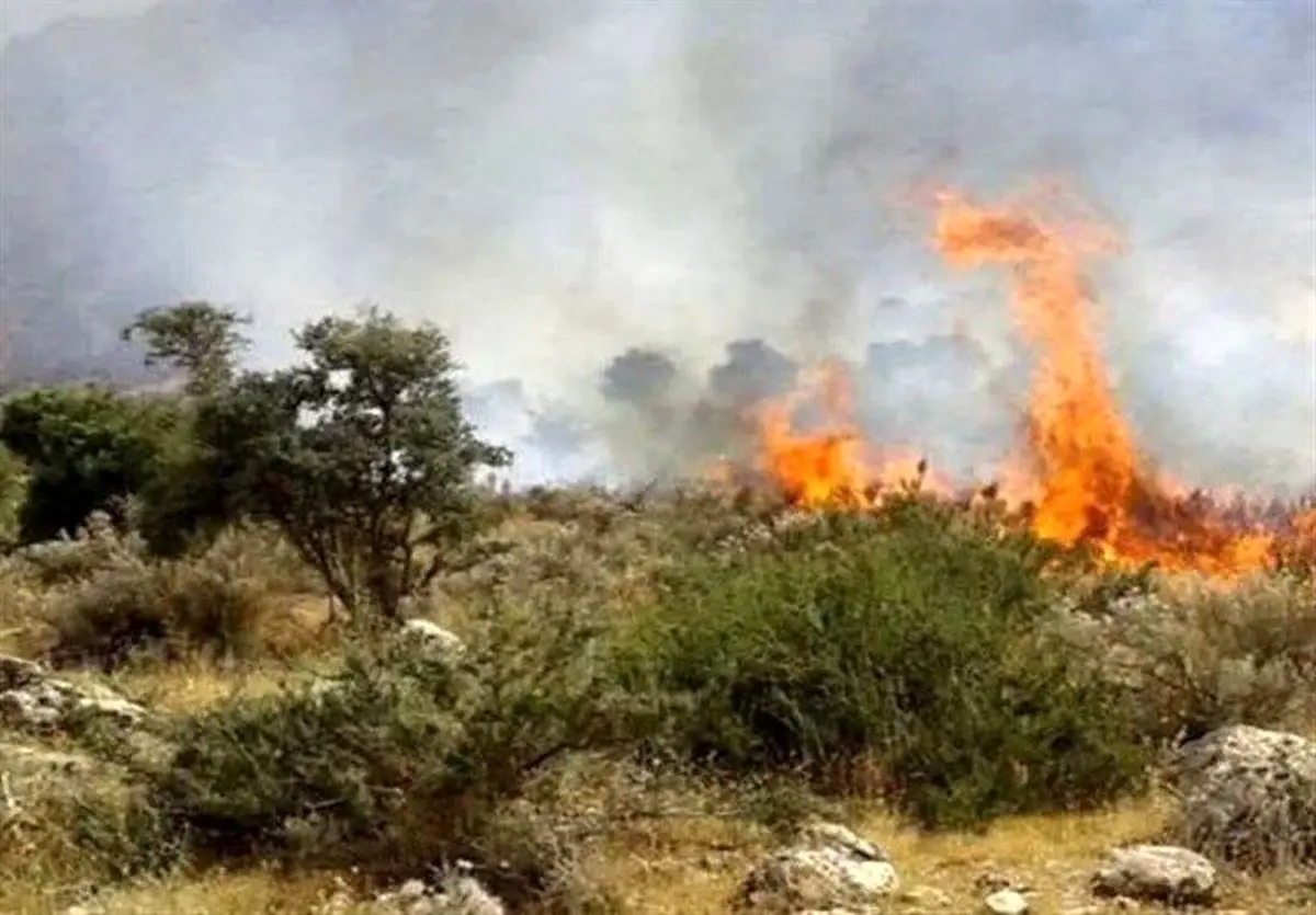 تجهیزات ویژه اطفای حریق در جنگل‌های الیت؛ از دمنده و آتش‌کوب تا اسب و قاطر