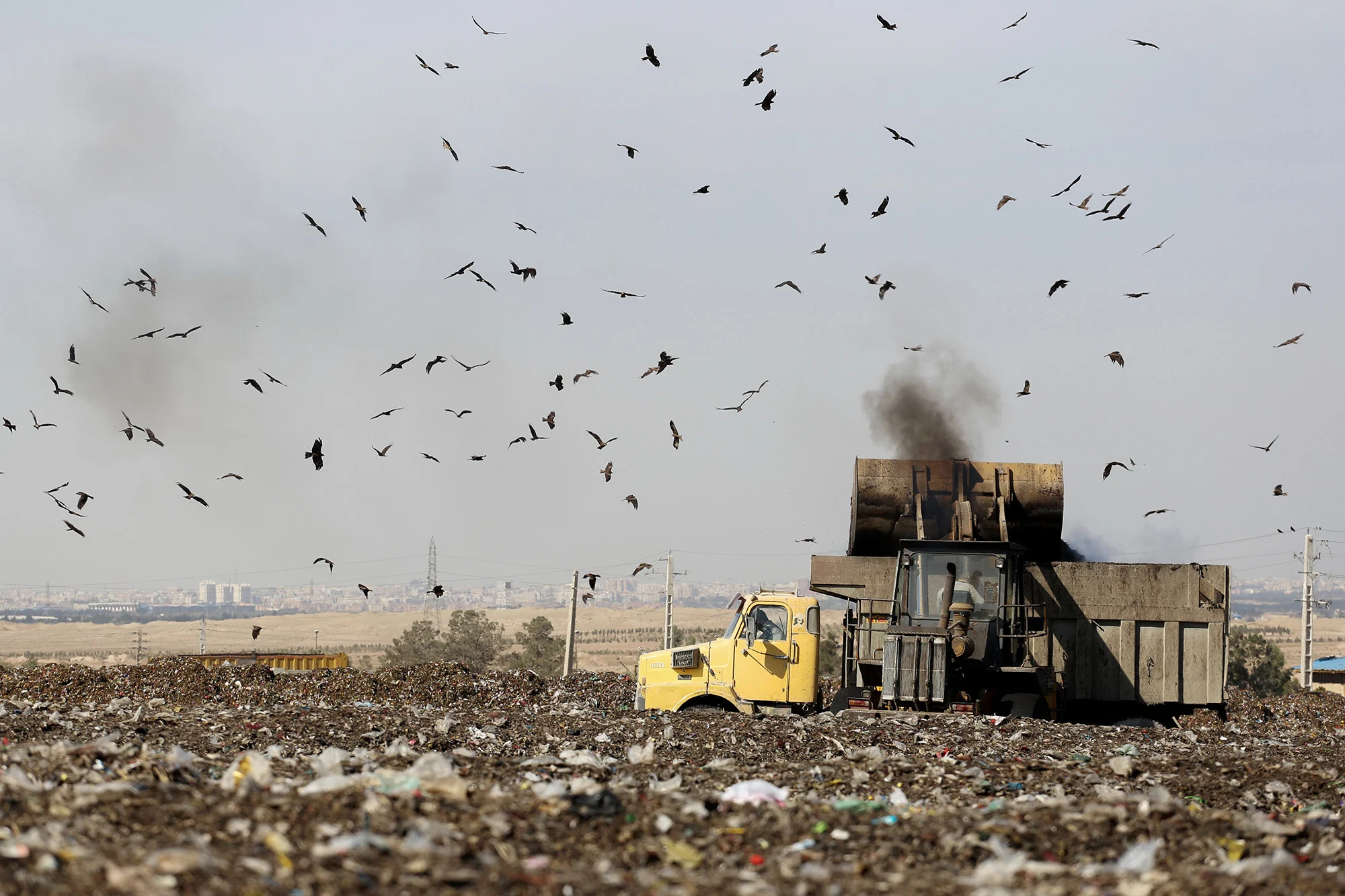 مدیریت ضعیف پسماند در شمال؛ وقتی زباله‌ها به جنگل‌ها و سواحل می‌رسند