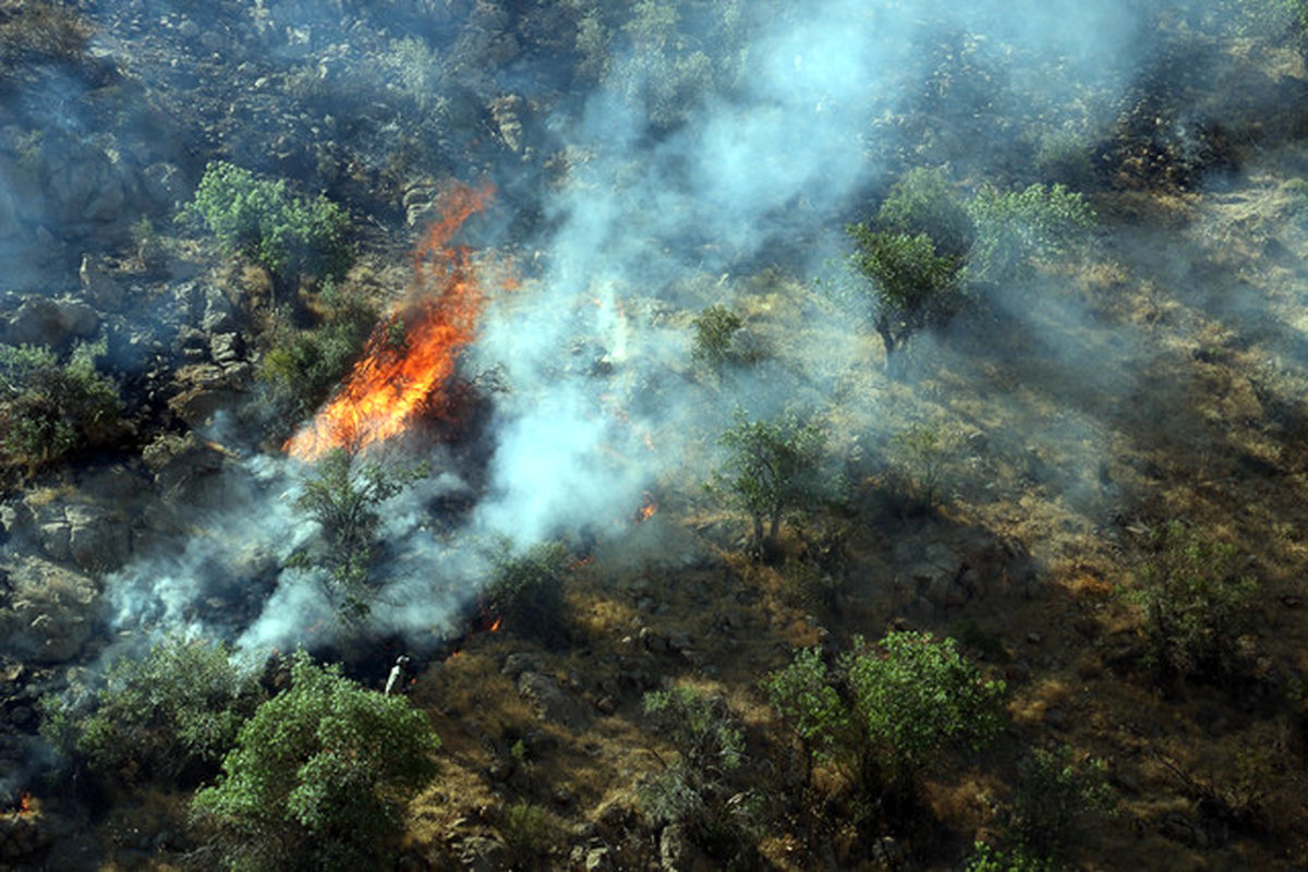 دو هفته نبرد با آتش در الیت چالوس؛ اطفای هوایی ناکام، بارش‌ها مؤثر شد