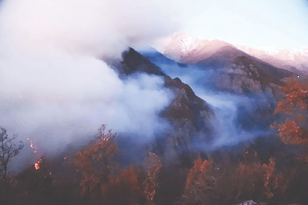 دخالت انسان در آتش‌سوزی الیت قطعی است